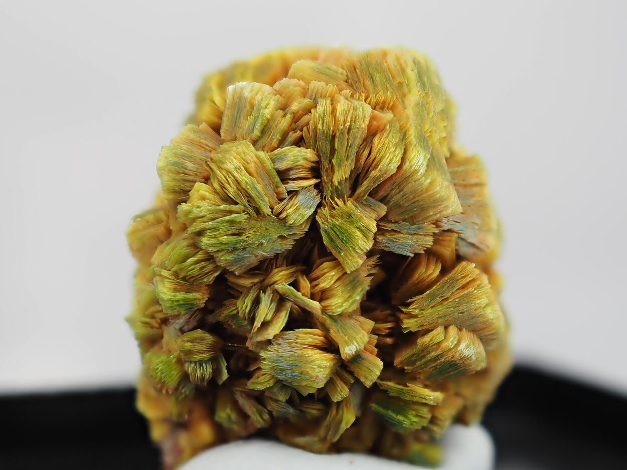 Meta-autunite