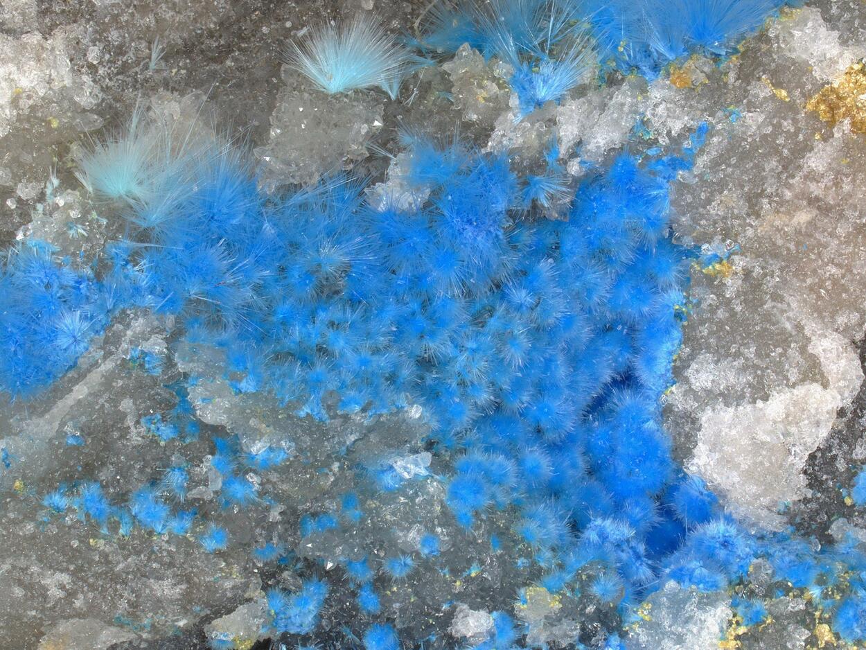 Carbonatecyanotrichite