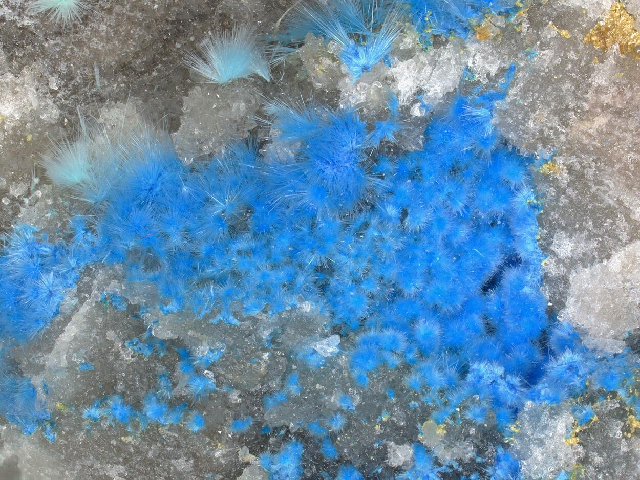 Carbonatecyanotrichite