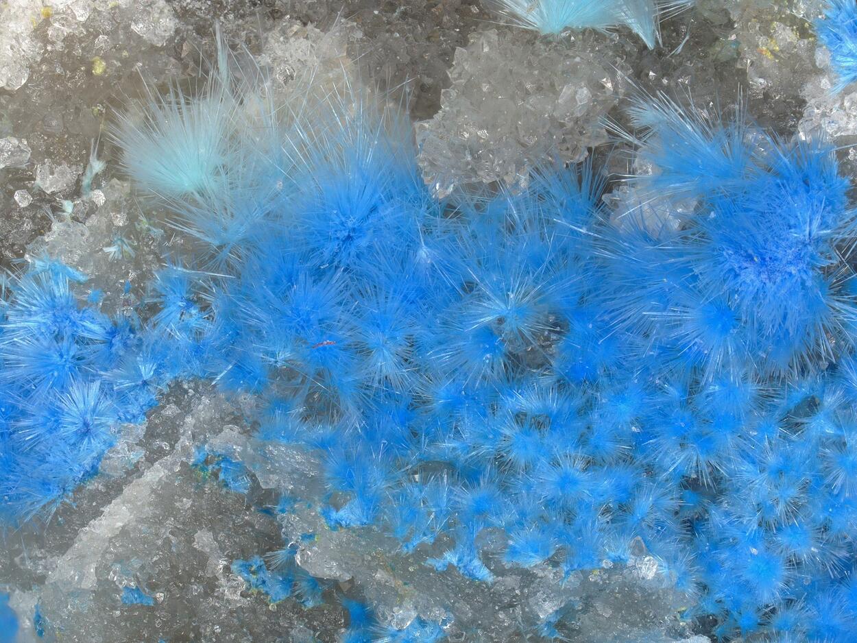 Carbonatecyanotrichite