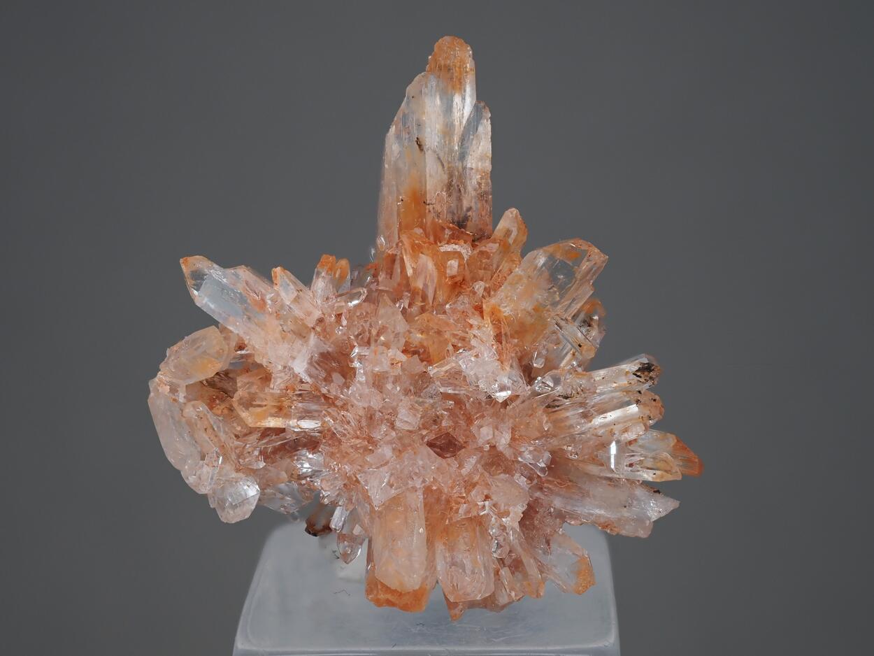 Creedite