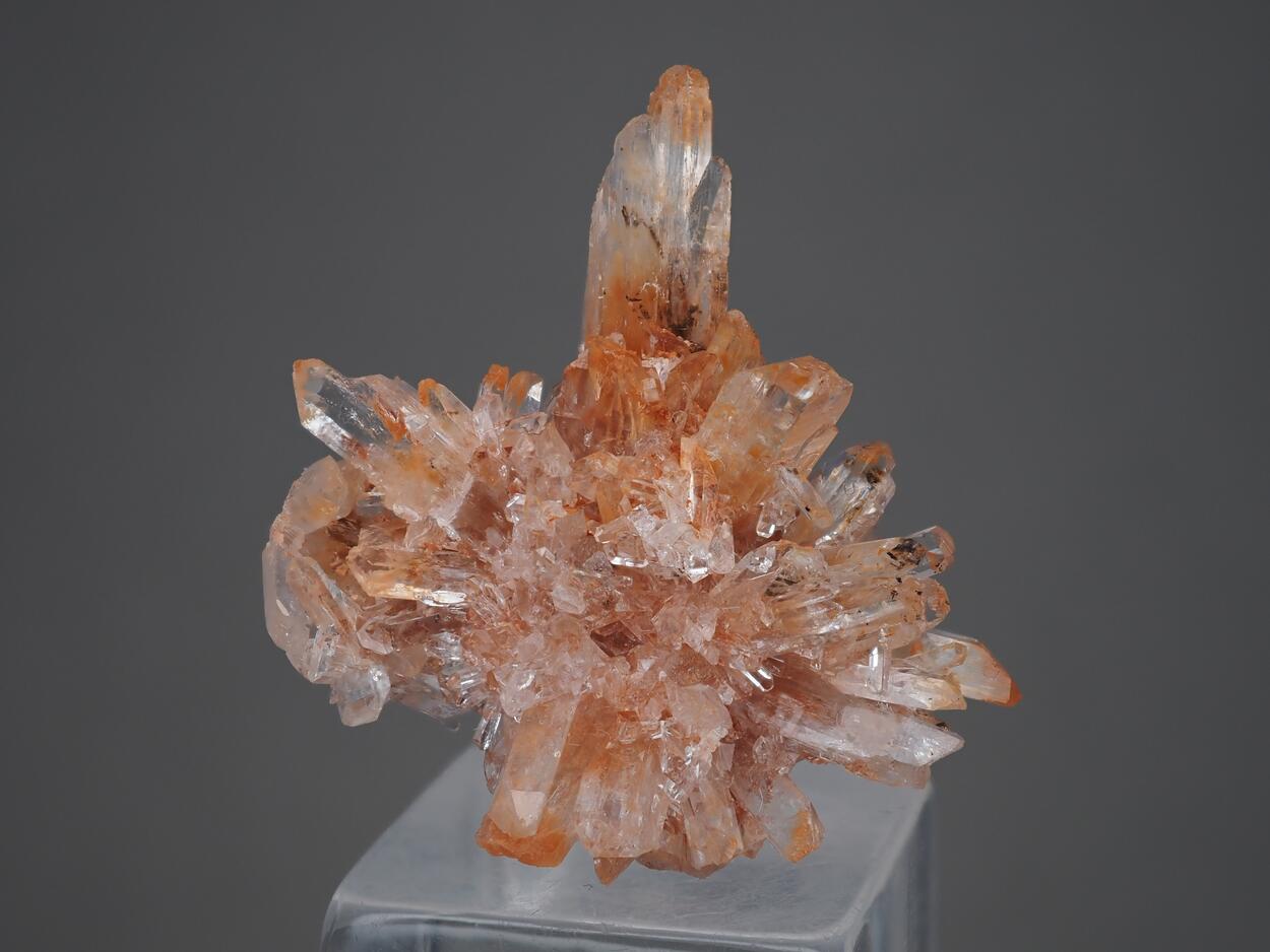 Creedite