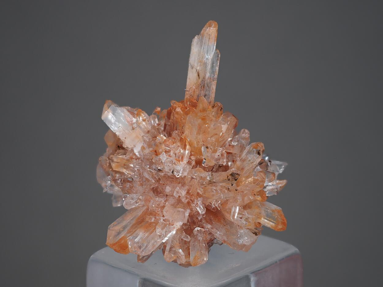 Creedite