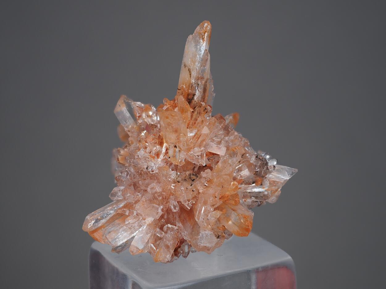 Creedite