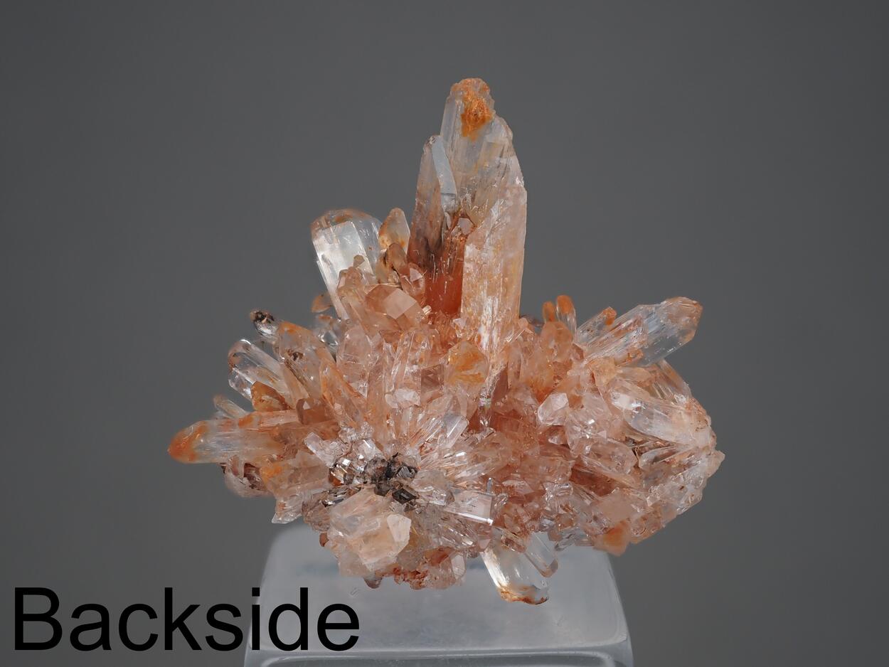 Creedite