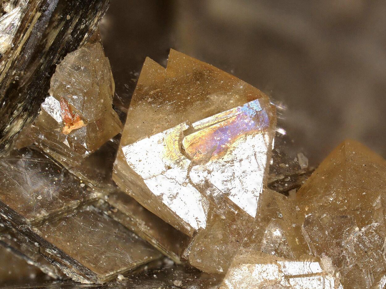 Scheelite & Zinnwaldite