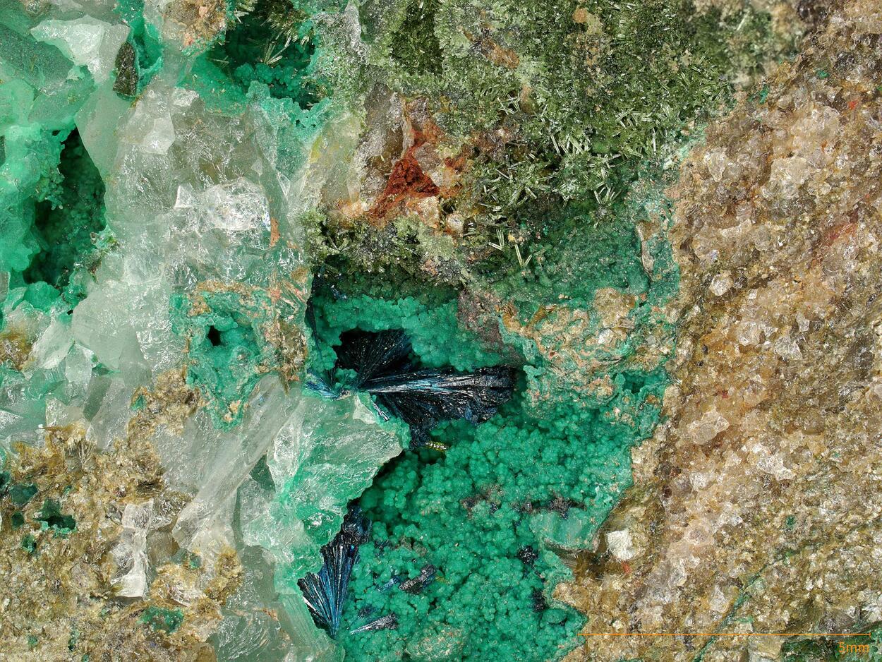 Clinoclase & Olivenite