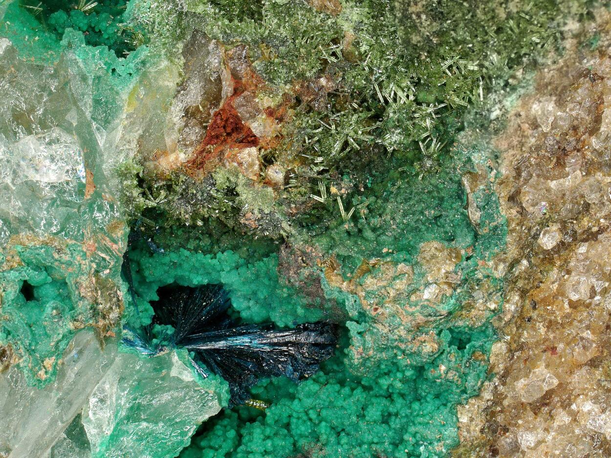 Clinoclase & Olivenite