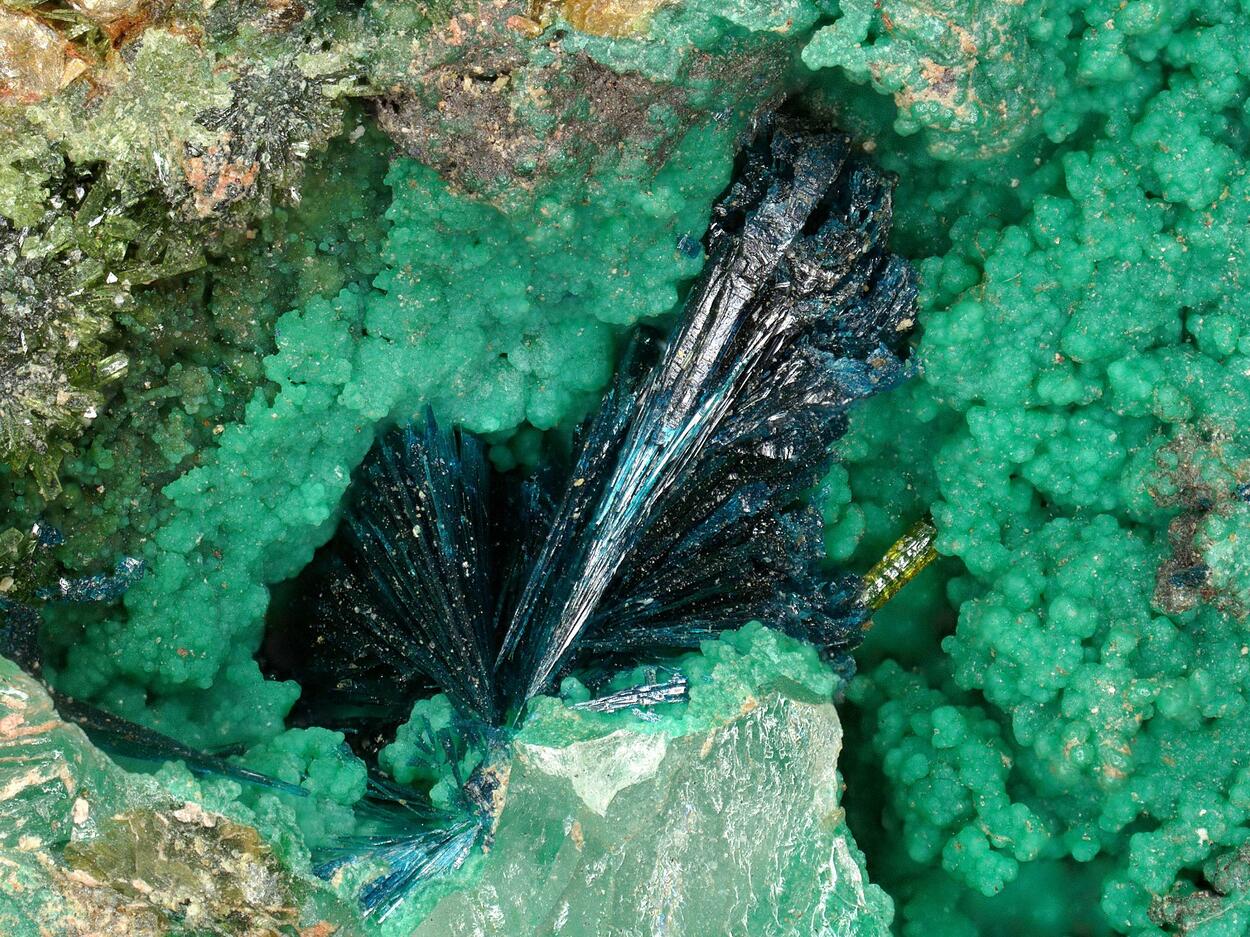 Clinoclase & Olivenite