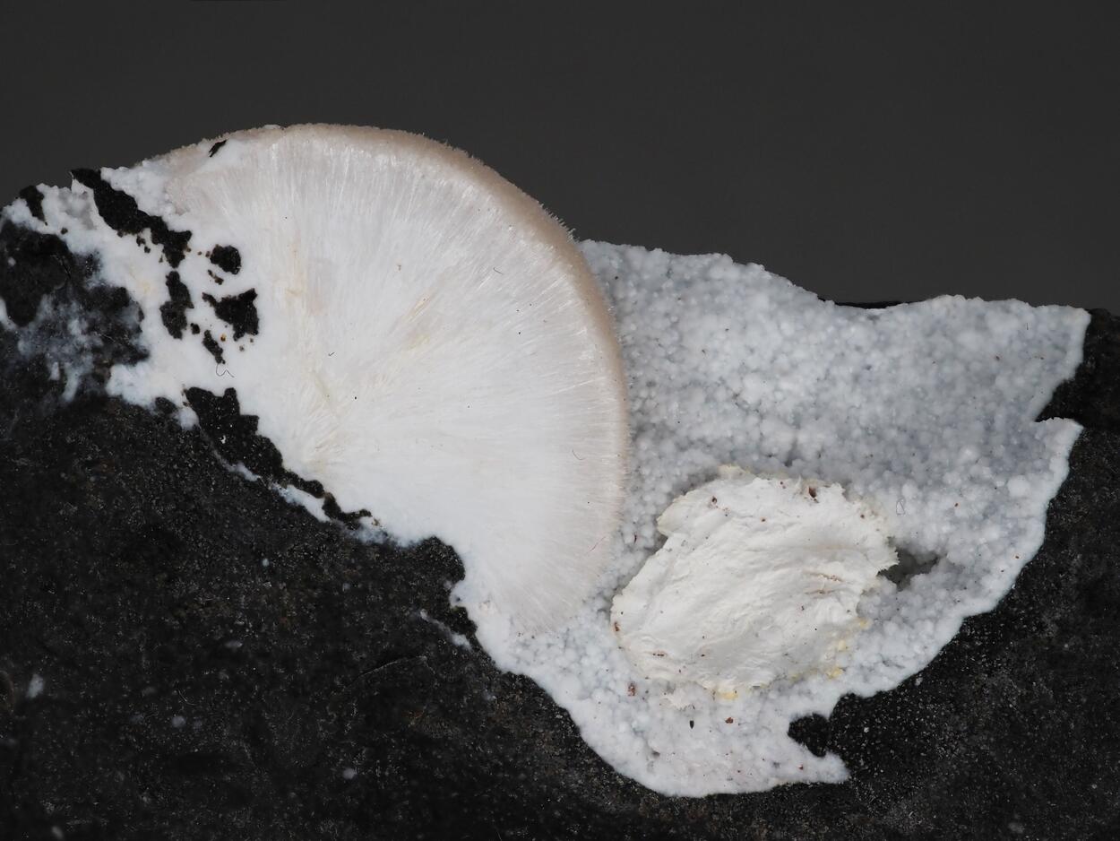 Natrolite & Ettringite