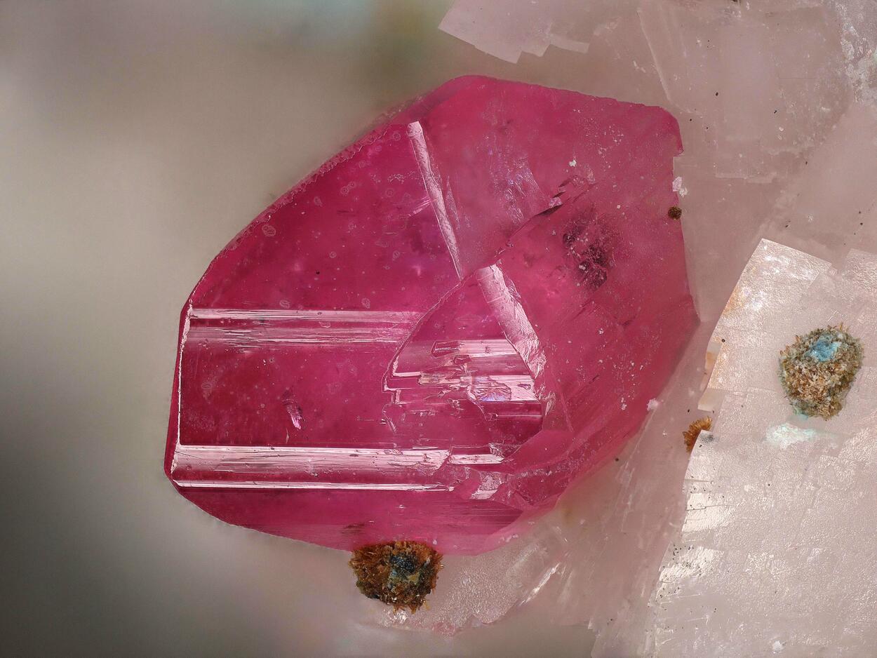 Wendwilsonite