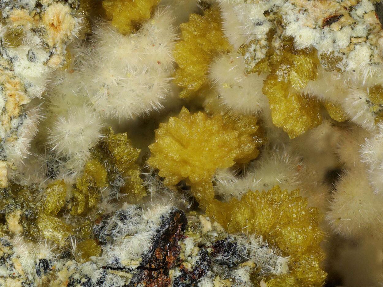 Cyrilovite & Kidwellite