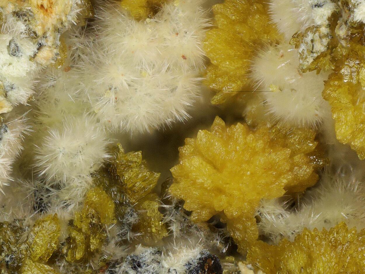 Cyrilovite & Kidwellite