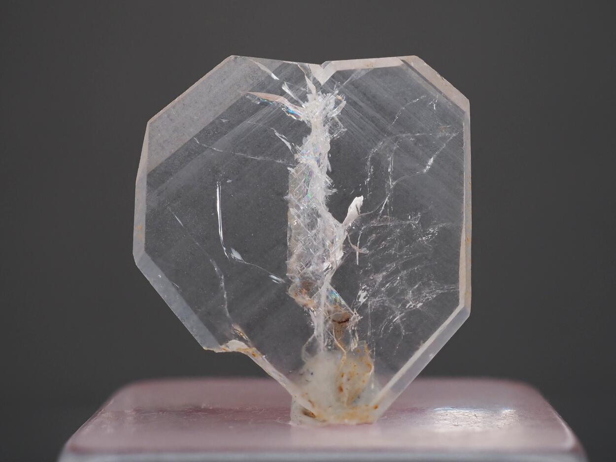 Japan Law With Faden Quartz