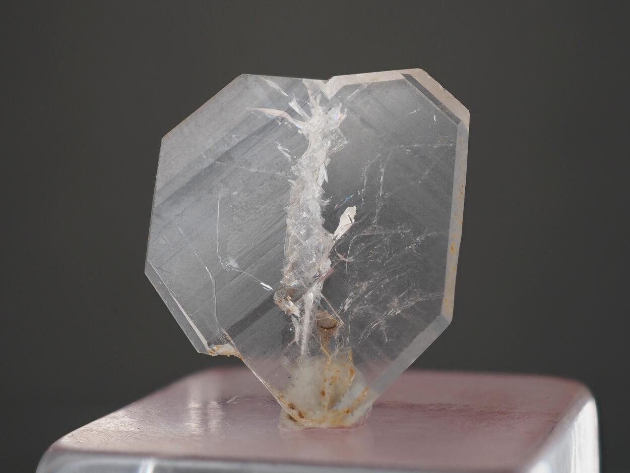 Japan Law With Faden Quartz