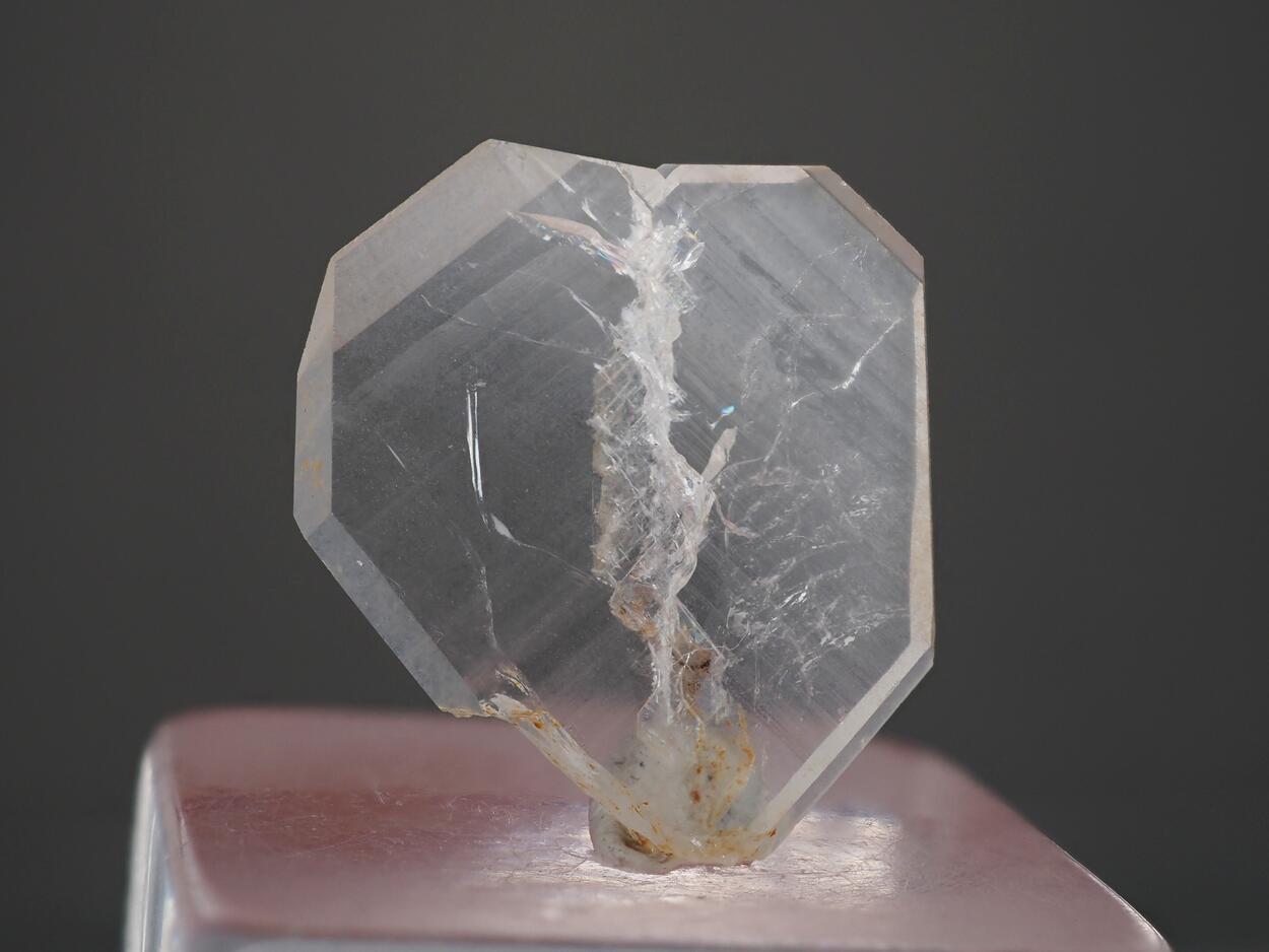 Japan Law With Faden Quartz