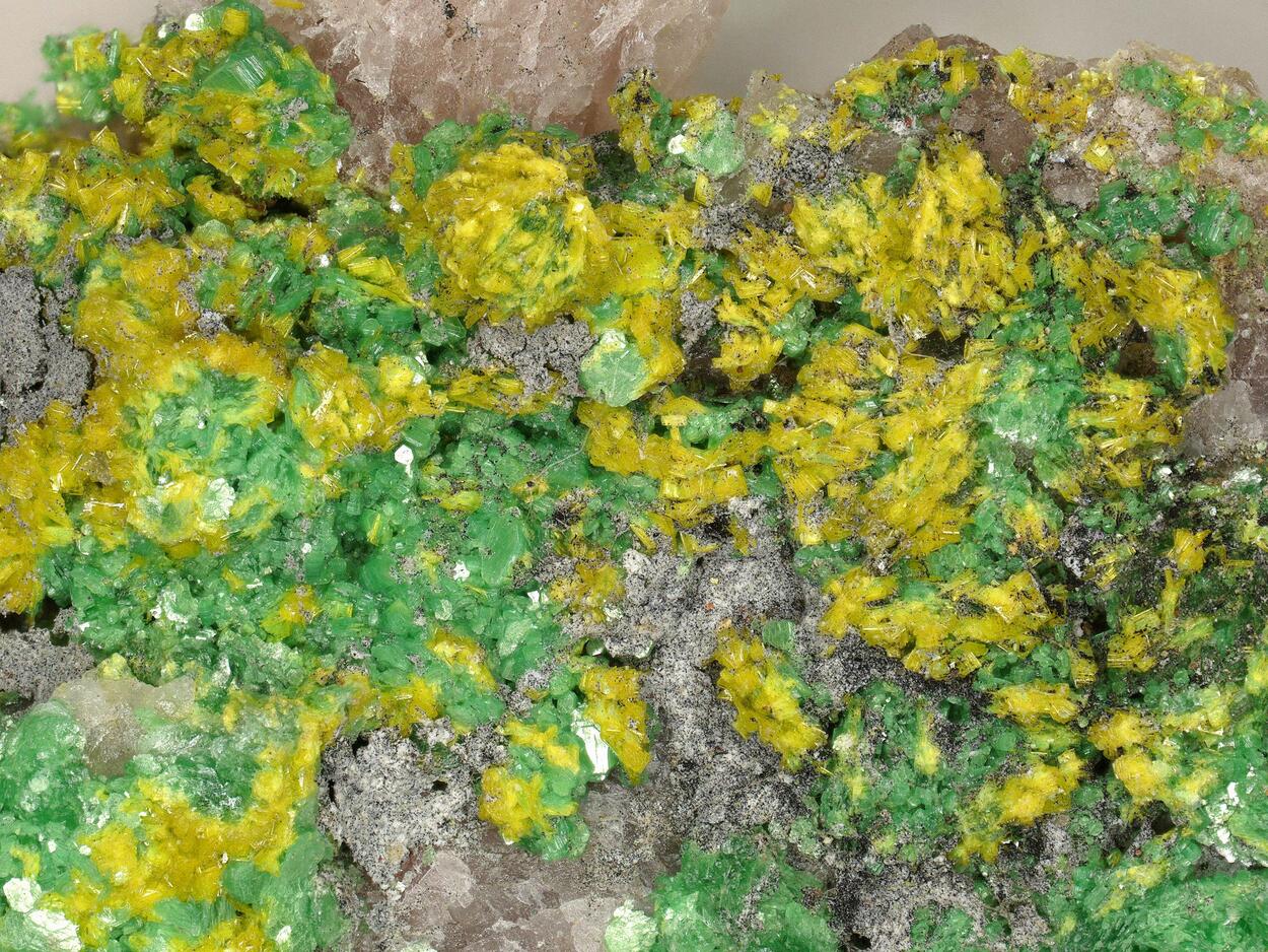 Dewindtite & Metatorbernite