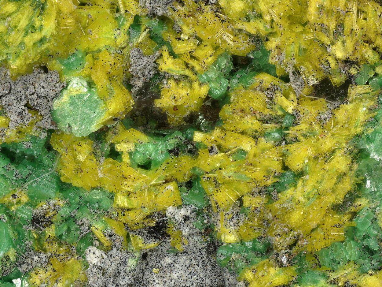 Dewindtite & Metatorbernite