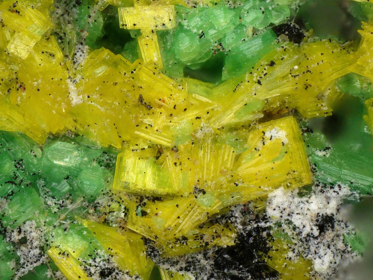 Dewindtite & Metatorbernite