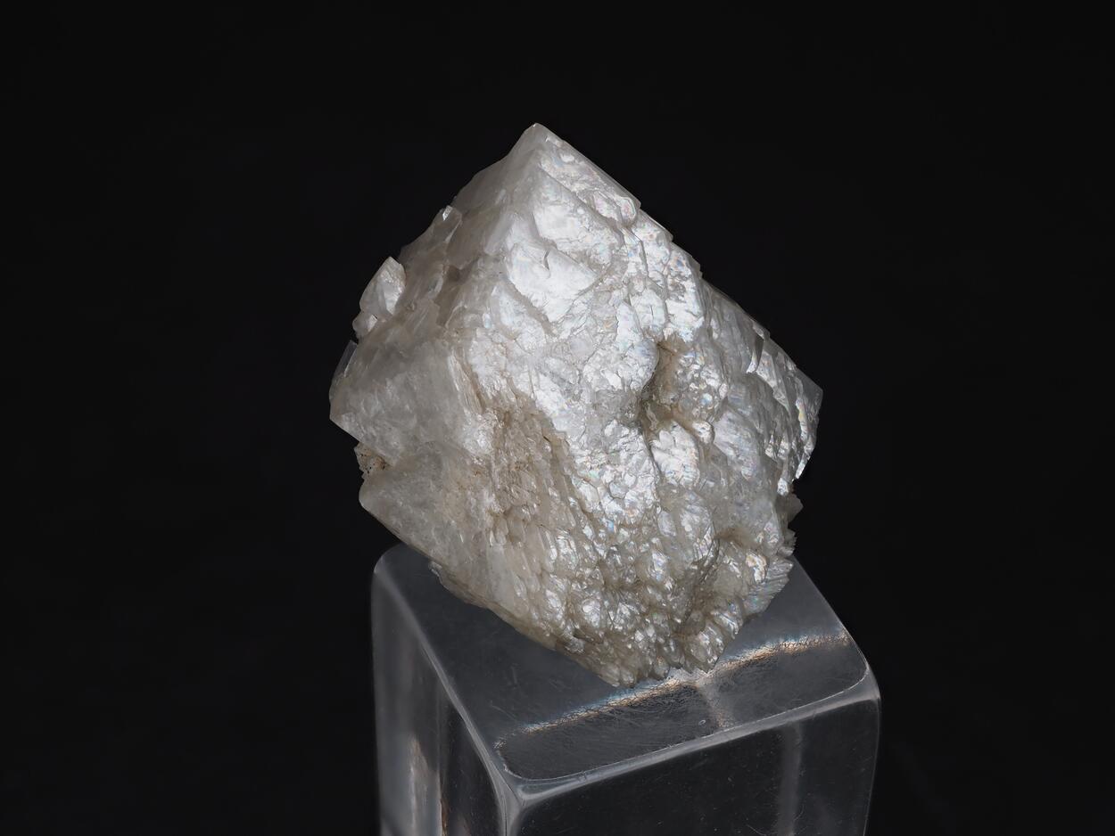 Tunellite