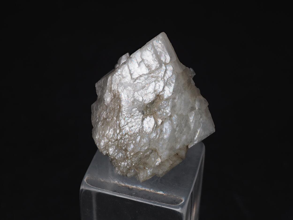 Tunellite