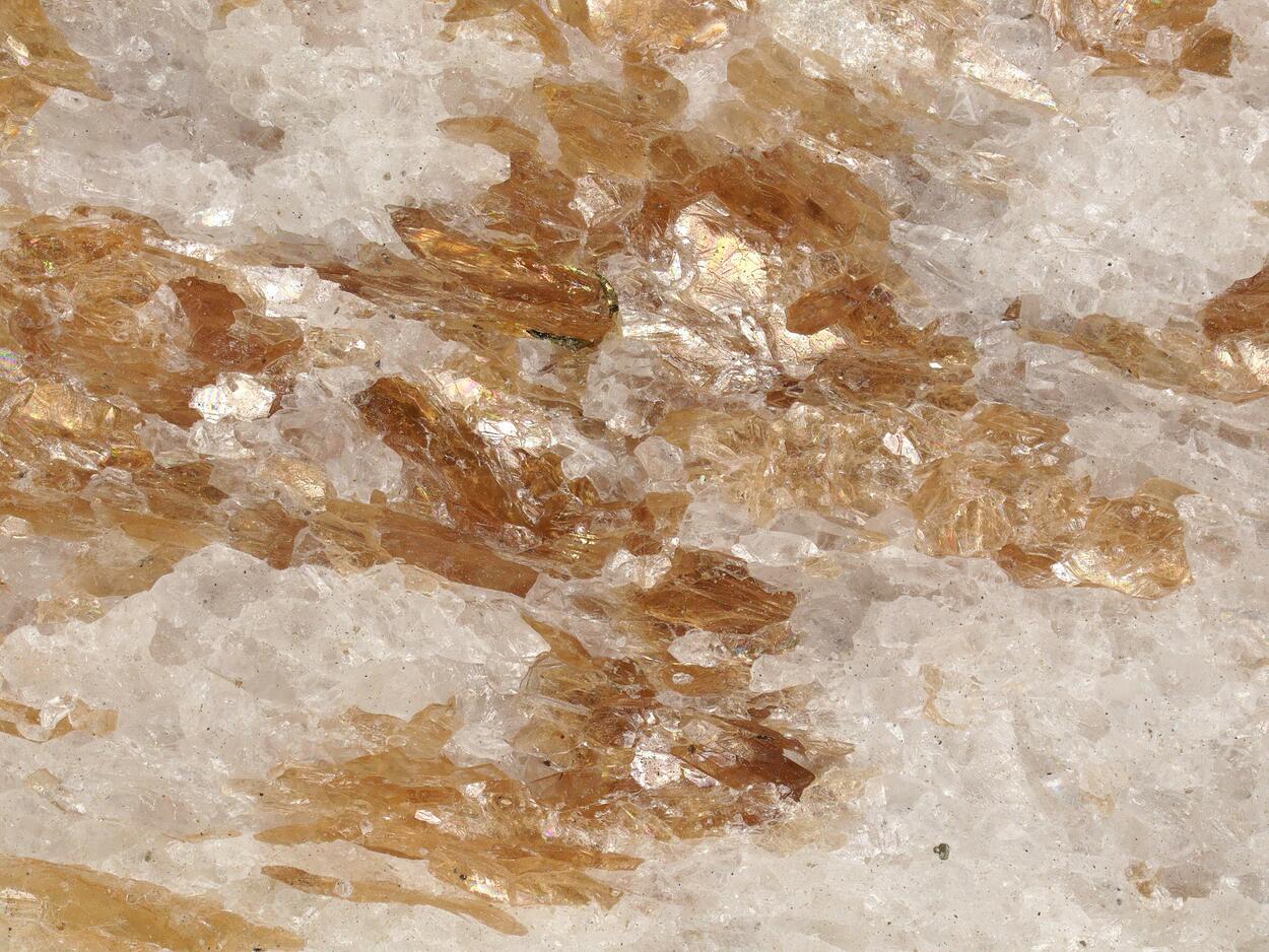 Phlogopite