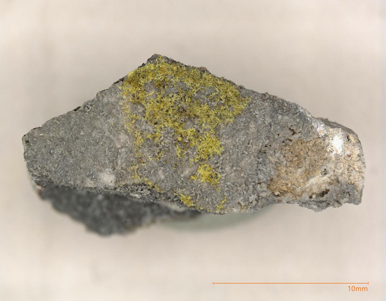 Boltwoodite