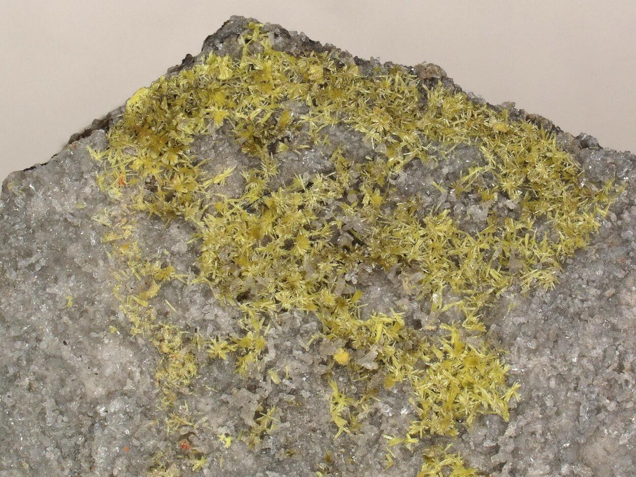 Boltwoodite