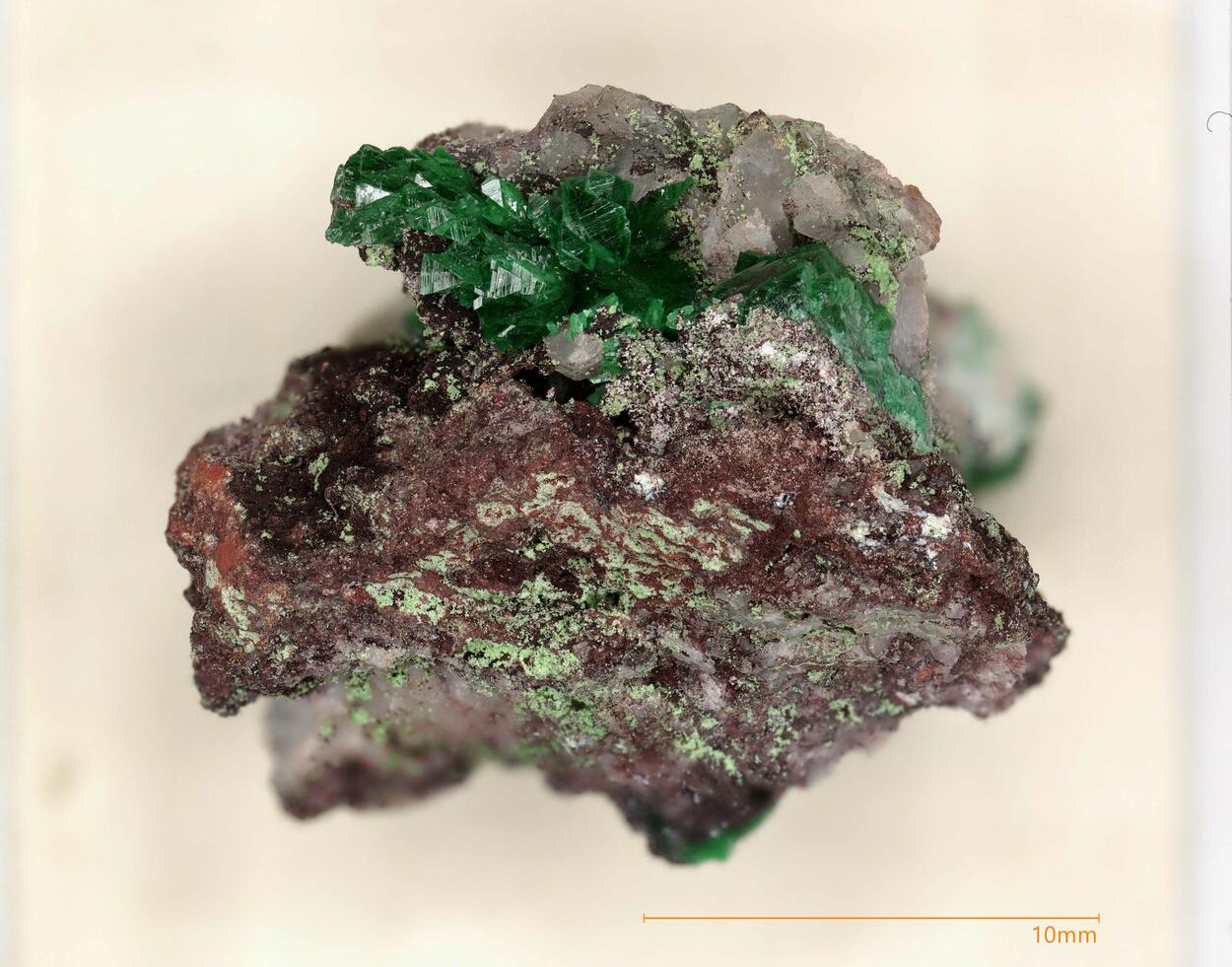 Zincolivenite