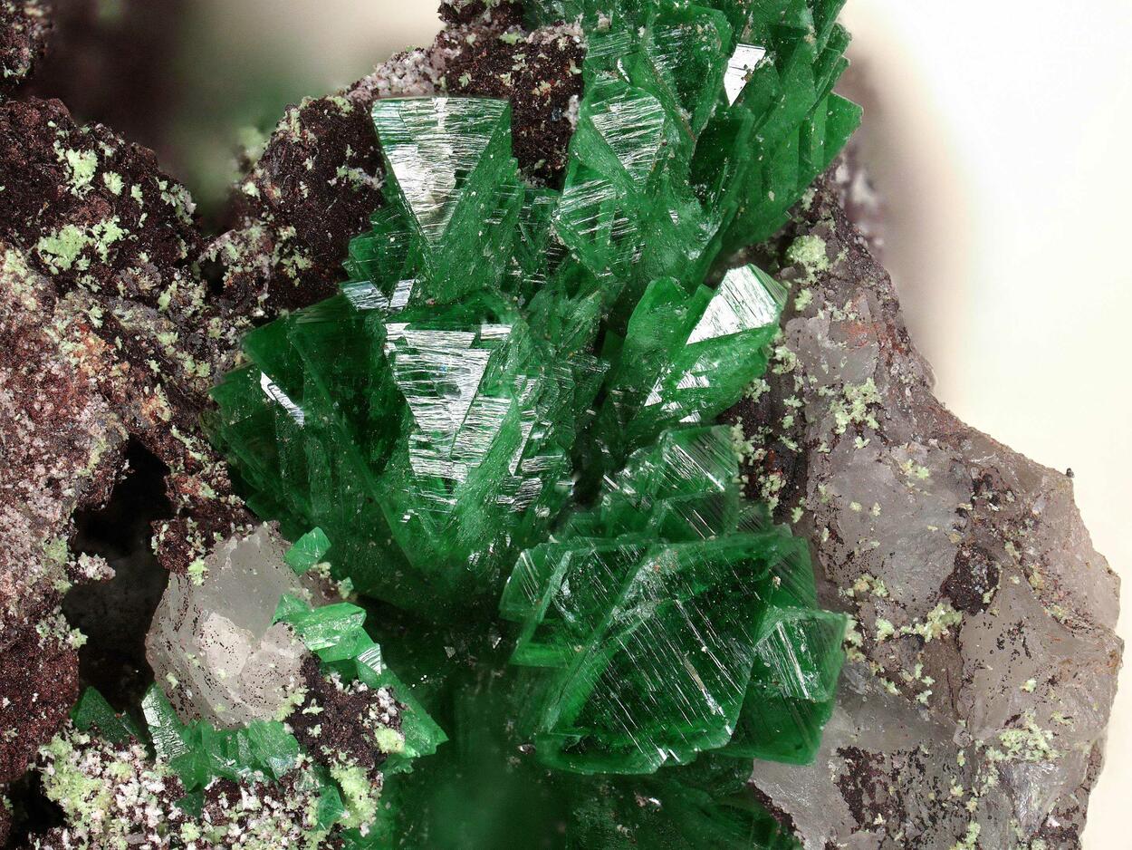 Zincolivenite