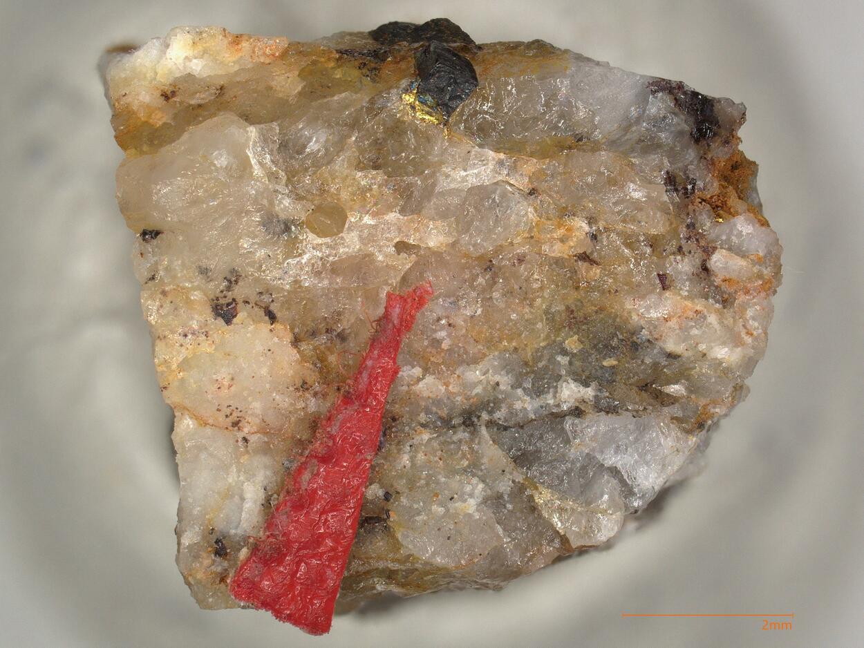 Gold & Limonite Psm Pyrite