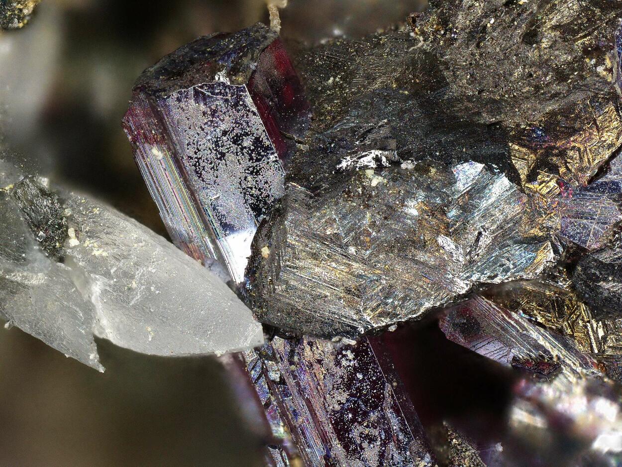 Pyrargyrite & Polybasite