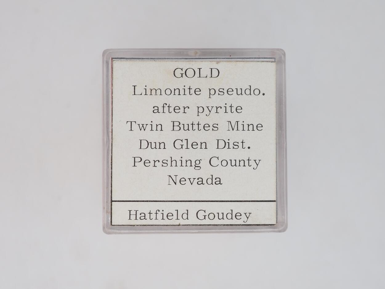 Gold & Limonite Psm Pyrite