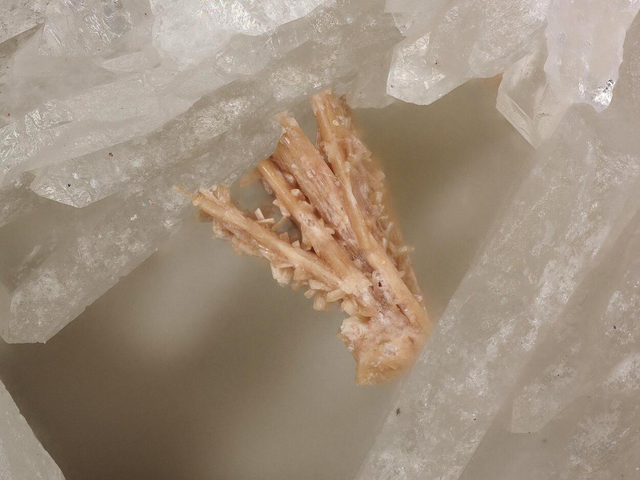 Fluorcalcioroméite Psm Stibnite