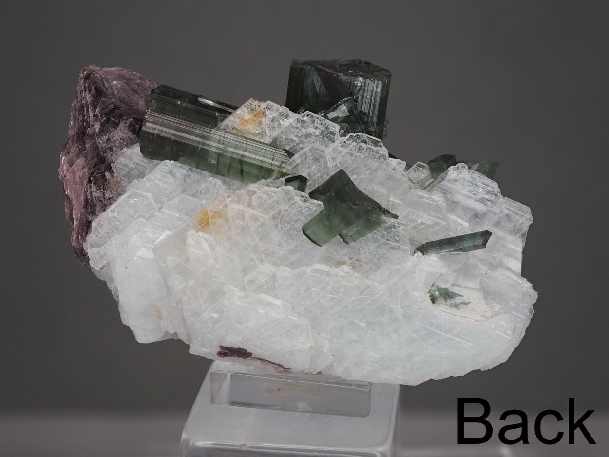 Tourmaline With Cleavelandite & Muscovite