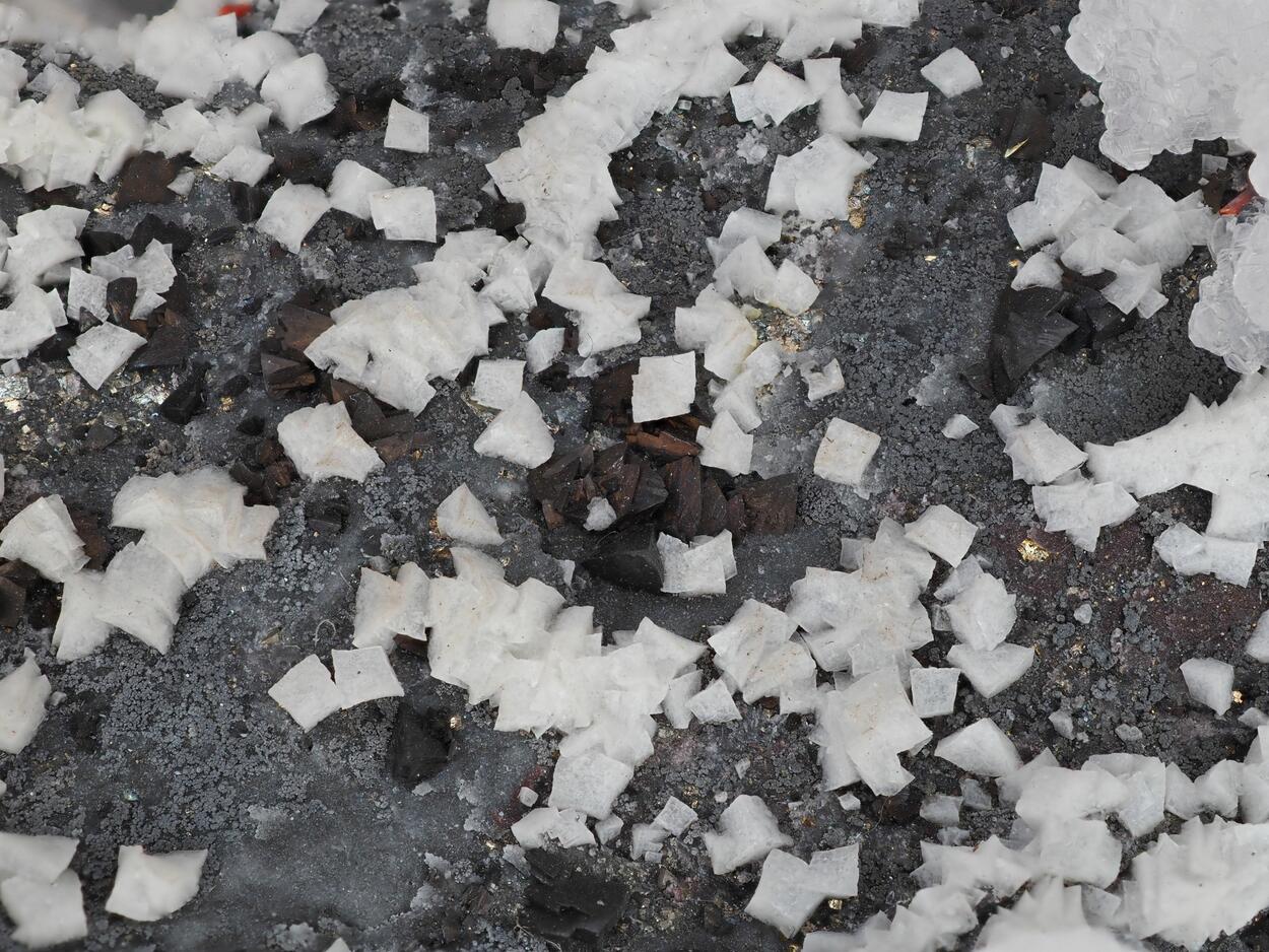 Tetrahedrite With Calcite & Dolomite & Realgar