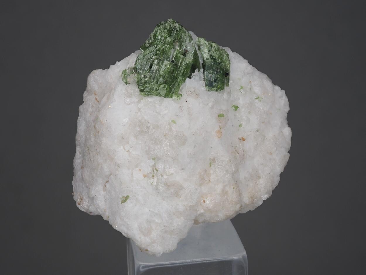 Pargasite
