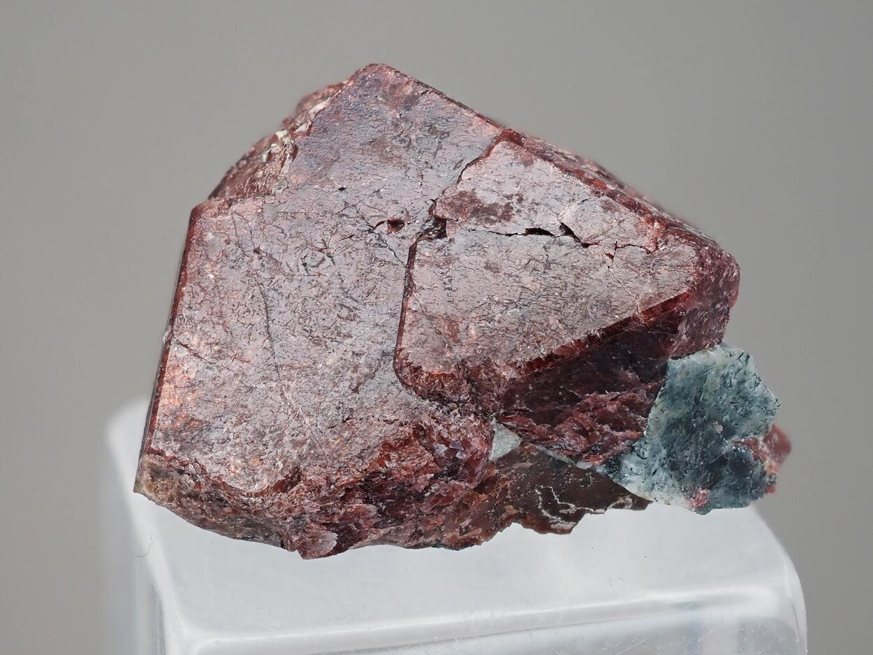 Eudialyte