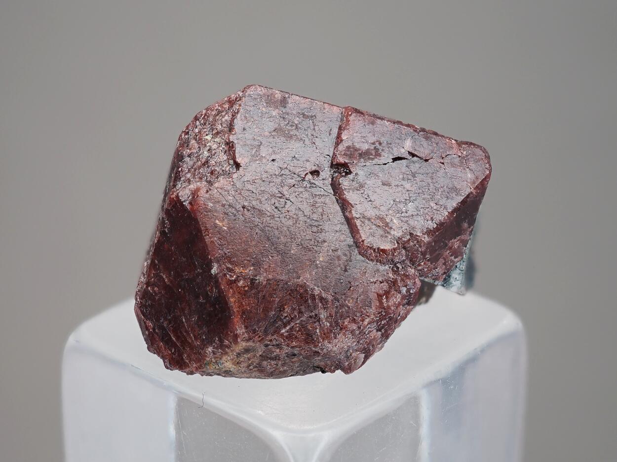 Eudialyte