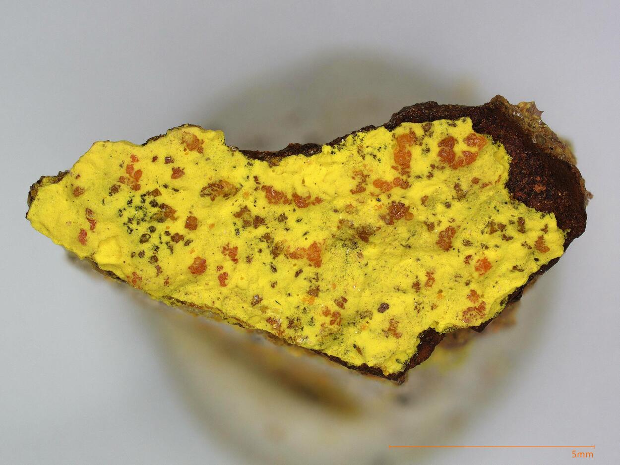 Curienite & Francevillite