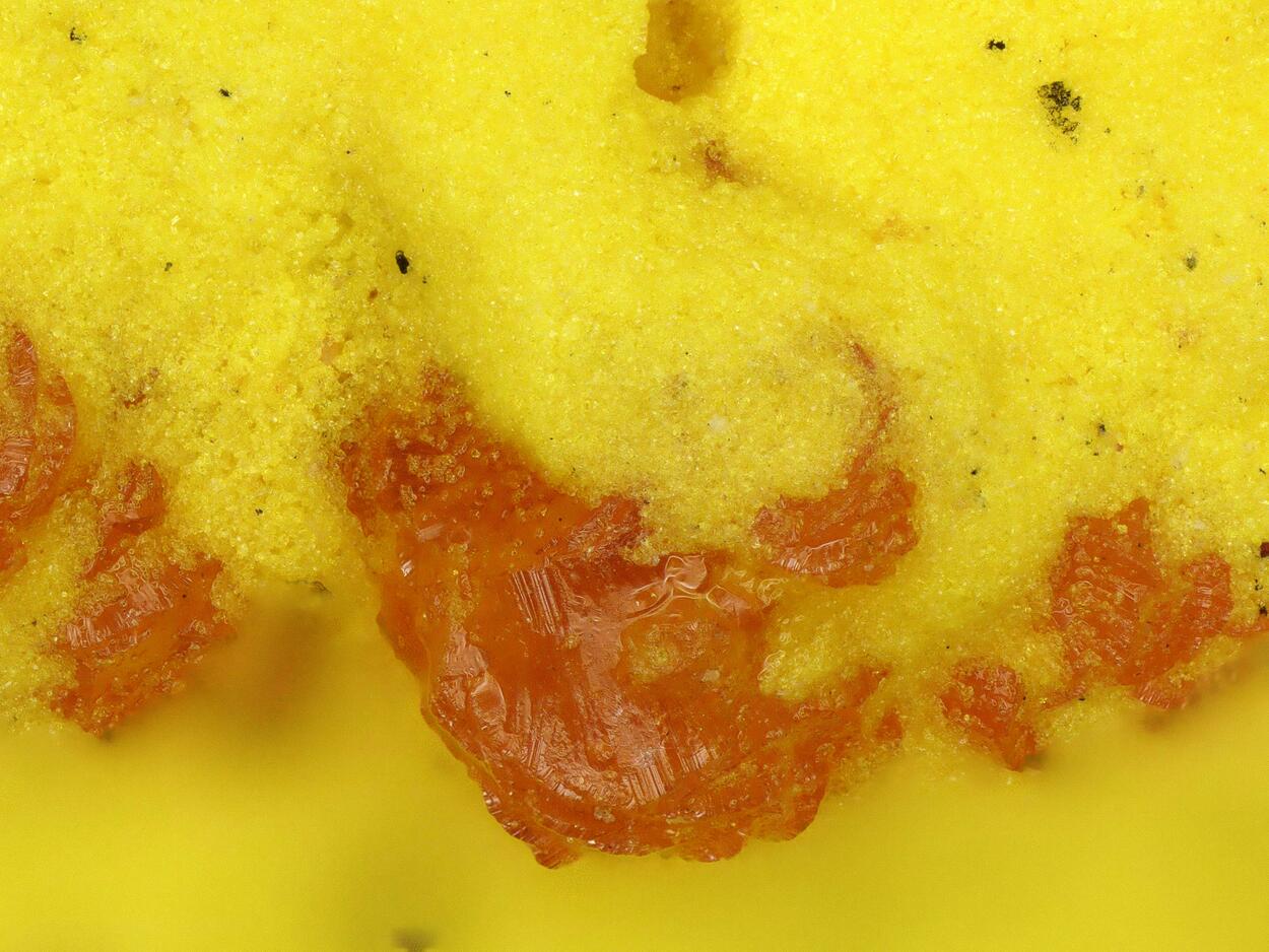 Curienite & Francevillite