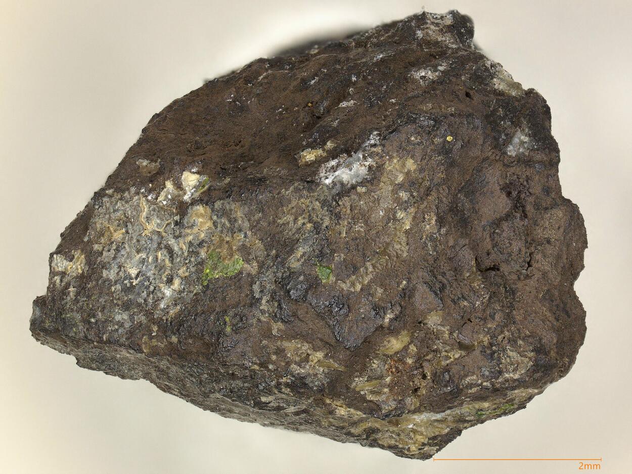Turanite