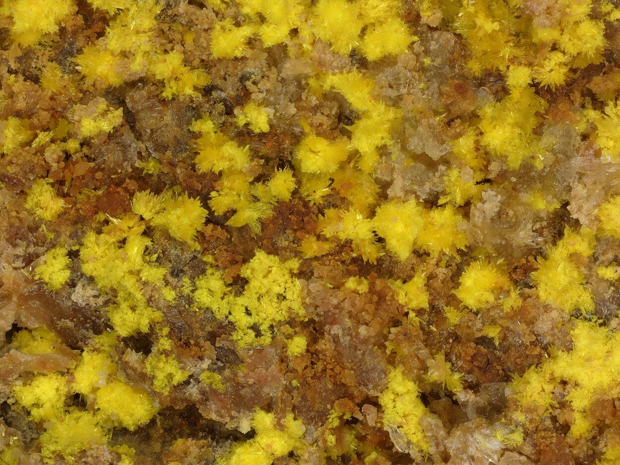 Marécottite & Natrozippeite