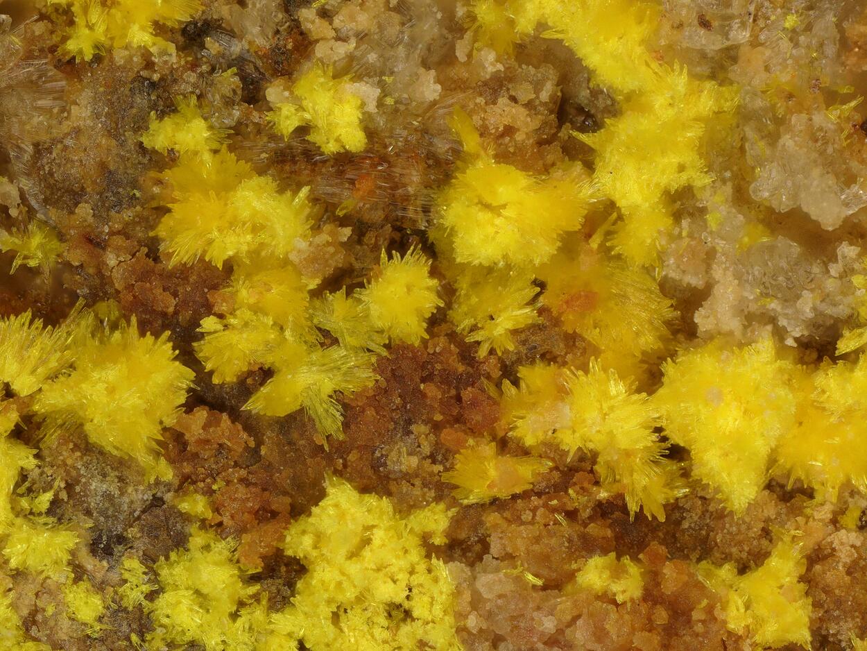 Marécottite & Natrozippeite