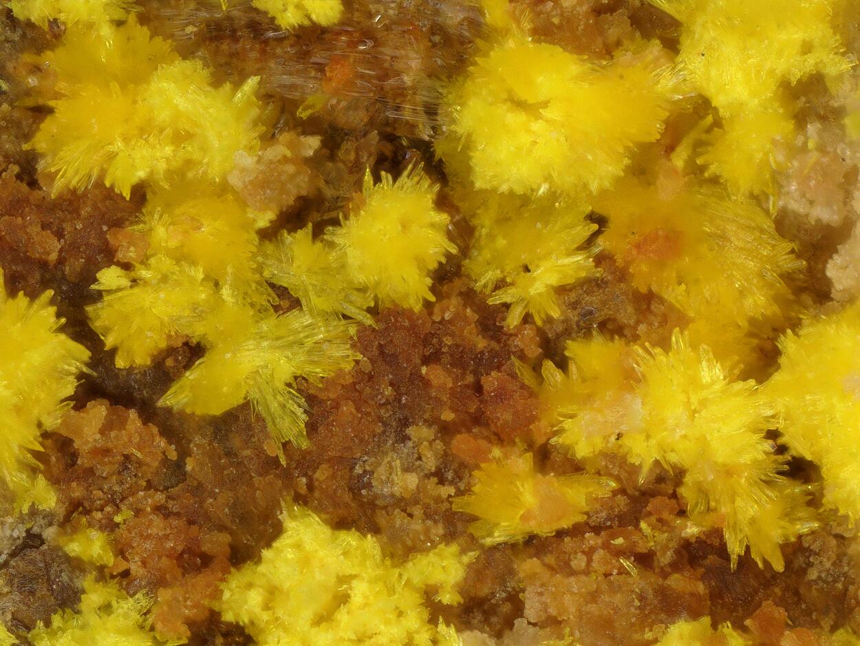 Marécottite & Natrozippeite