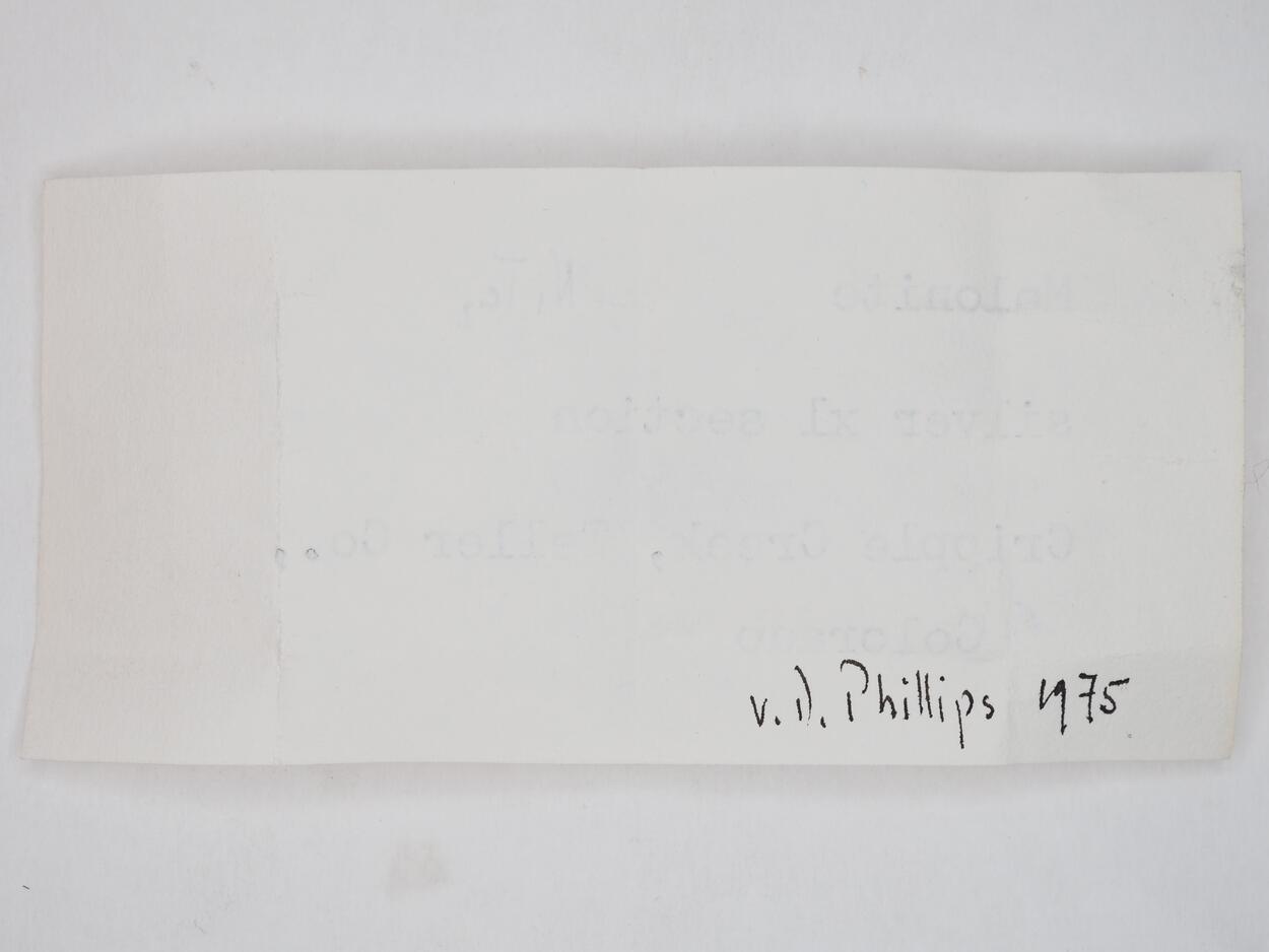 Melonite Psm Calaverite & Gold