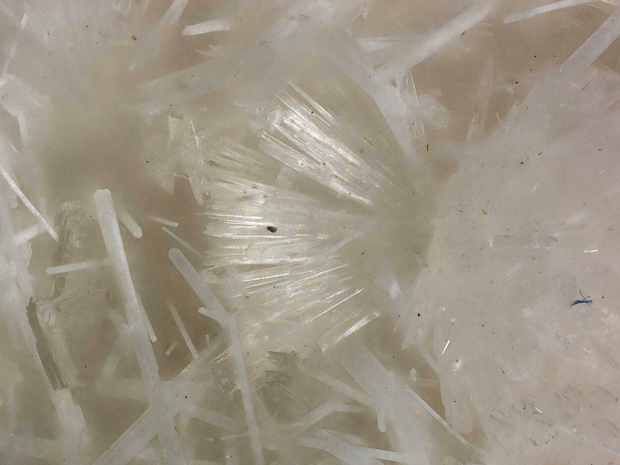 Afwillite With Ettringite & Hydrocalumite