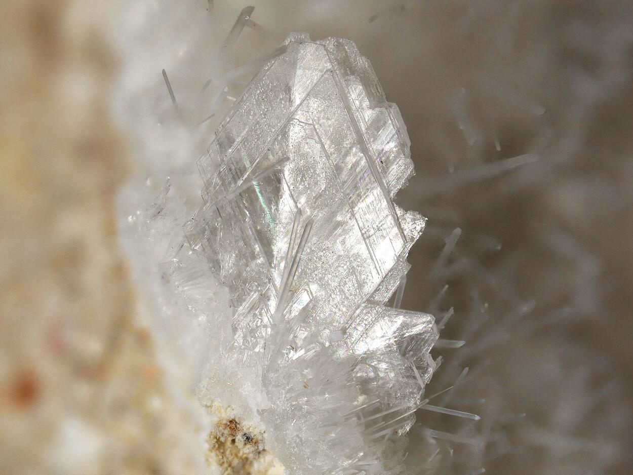 Afwillite With Ettringite & Hydrocalumite