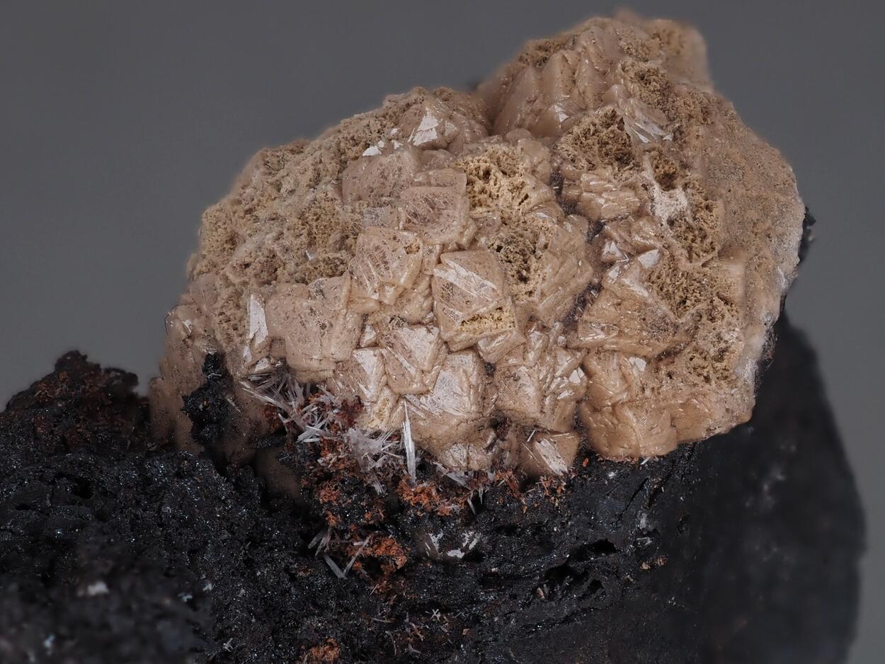 Olmiite & Bultfonteinite