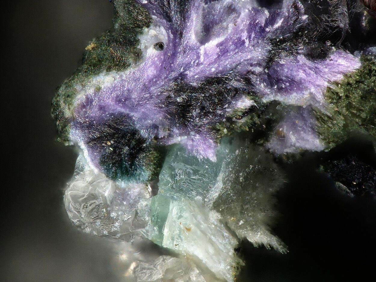 Cherokeeite & Elyite